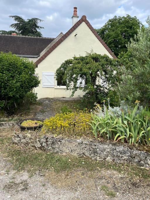 La Petite Maisonnette Saint-Georges-sur-Cher Exterior photo
